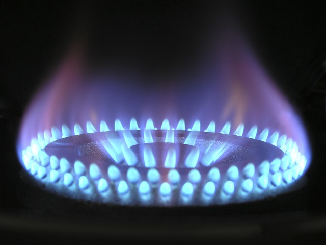 אילו בעלי מקצוע ועסקים זקוקים למבערי גז?